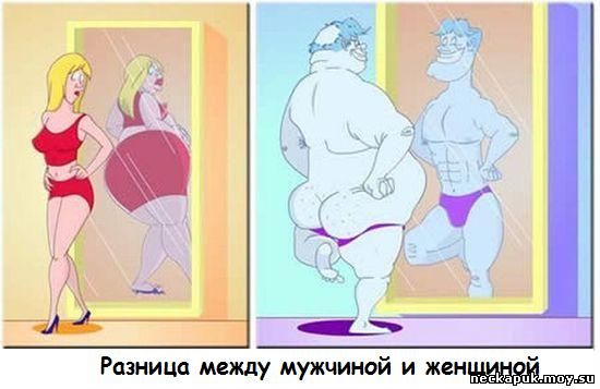 Подборка